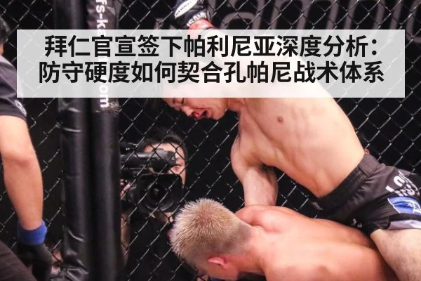 拜仁官宣签下帕利尼亚深度分析：防守硬度如何契合孔帕尼战术体系