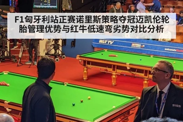 F1匈牙利站正赛诺里斯策略夺冠迈凯伦轮胎管理优势与红牛低速弯劣势对比分析