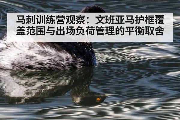 马刺训练营观察：文班亚马护框覆盖范围与出场负荷管理的平衡取舍
